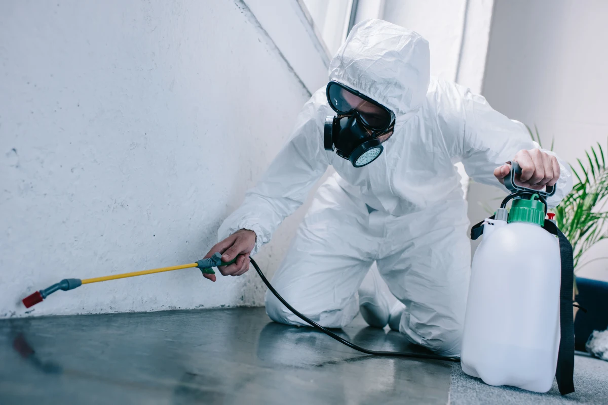 Pest control technician treating an Oxford, Mississippi home for pests